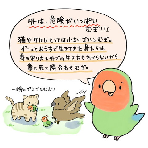 外は危険がいっぱい