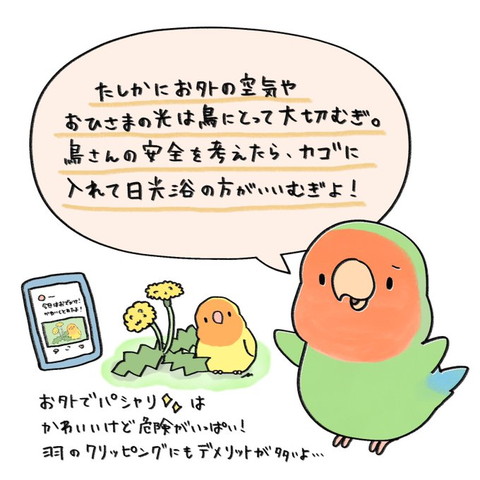 確かにお外の空気やおひさまの光は