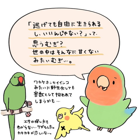 逃げても自由に生きられる