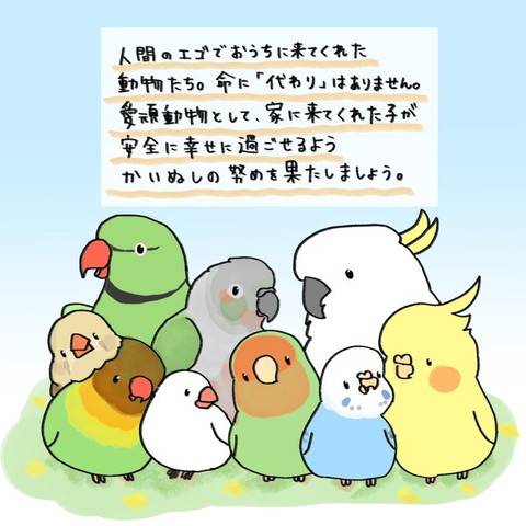 人間のエゴでおうちに来てくれた