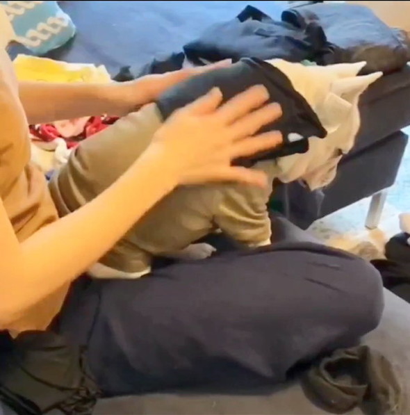 洗濯物を背中で受ける犬