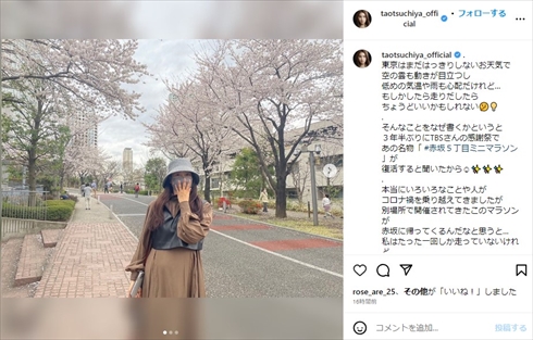 第1子妊娠中の土屋太鳳のふっくらおなか