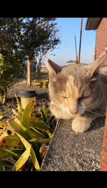 安心できる場所