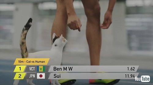 ヤマト運輸ネコと陸上選手がガチ対決