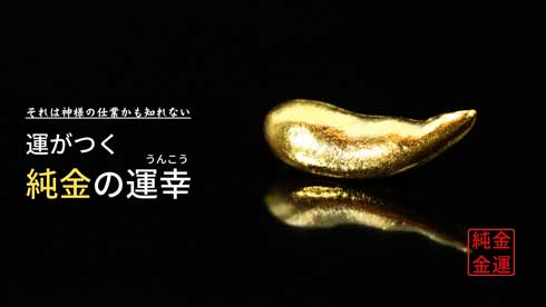 純金の運幸 JUNGOLD バナナ 巻き コイン うんこ