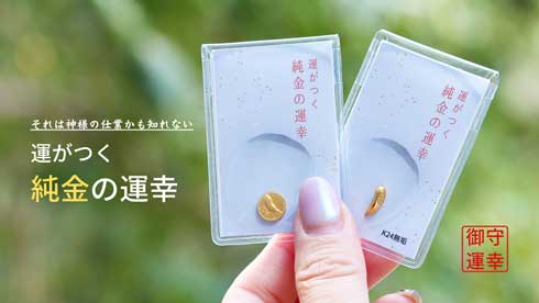 純金の運幸 JUNGOLD バナナ 巻き コイン うんこ