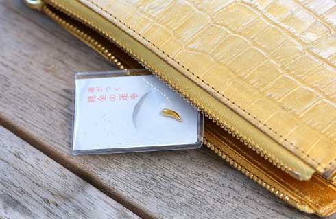 純金の運幸 JUNGOLD バナナ 巻き コイン うんこ