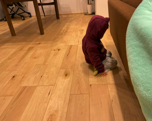 喧嘩中のお兄ちゃん「ごめんね」が言えた2歳児