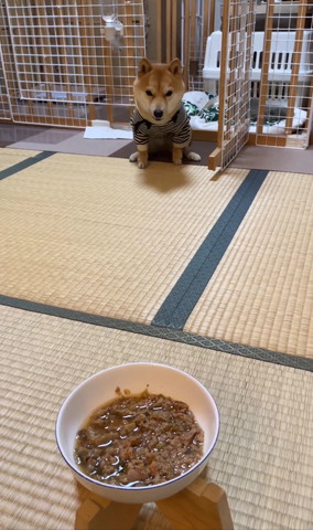 おすすめ