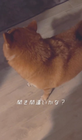 聞き間違いかなテロップ