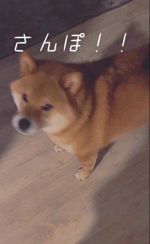 さんぽテロップ