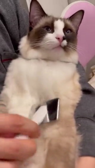 おすすめ