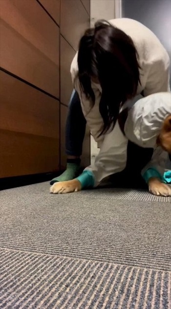 スノーウェアを着てみたワンちゃん