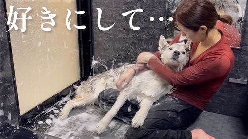 に苦手なお風呂