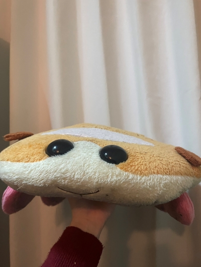 潰れたモルカー