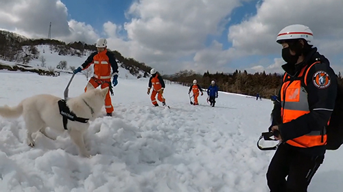 救助隊の皆さんと向こうを見るコアくん