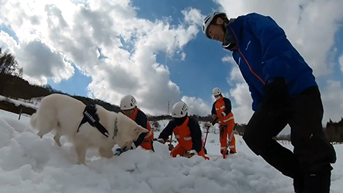 雪を掘るコアくん