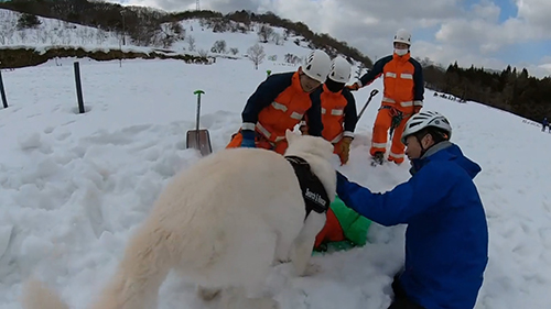 なでてもらうコアくん