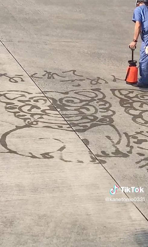 飛行機 那覇空港 パフォーマンス