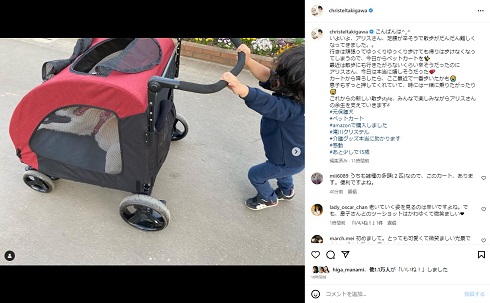 愛犬を乗せたペットカートを押して介護する3歳息子