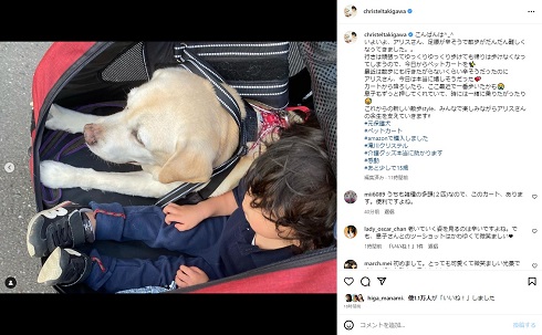 ペットカートで愛犬と寄り添う3歳息子
