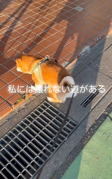 必ず通る道