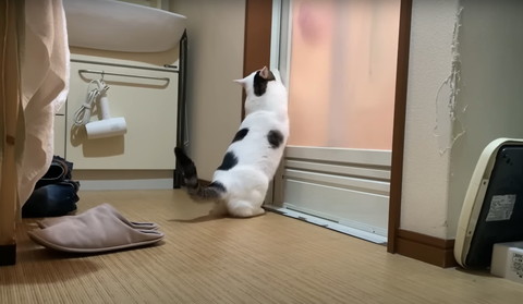 お風呂の扉をカリカリ