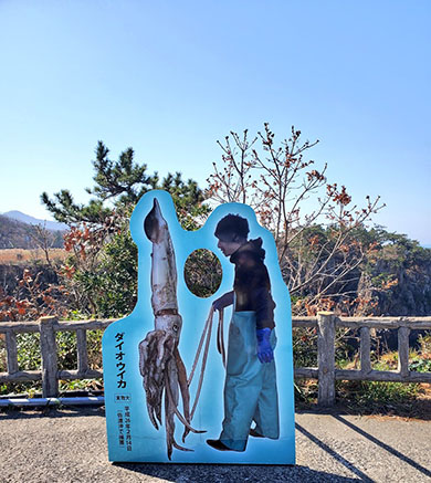 ダイオウイカの顔ハメ看板