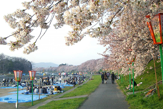 2023岡山さくらカーニバル　岡山城　岡山後楽園　ごみ放置