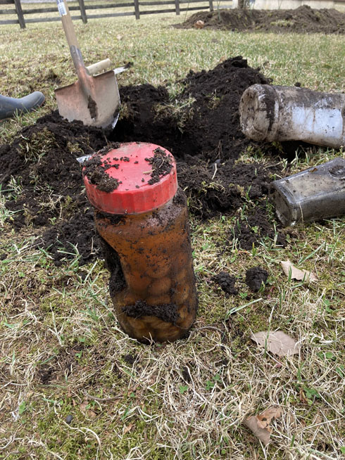 梅酒　自家製　埋め酒