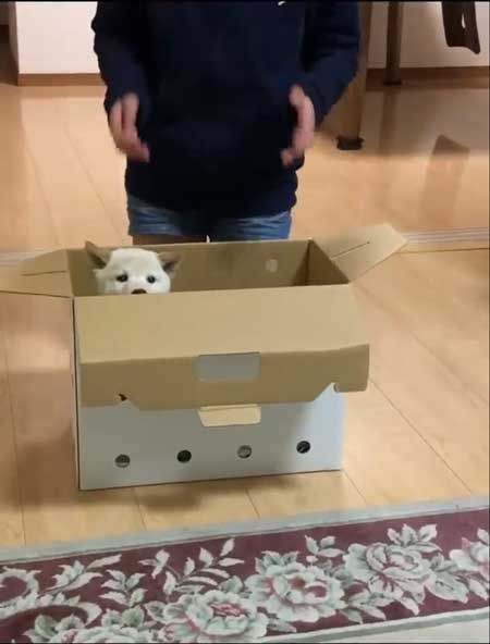 抱っこしていいか確認する娘