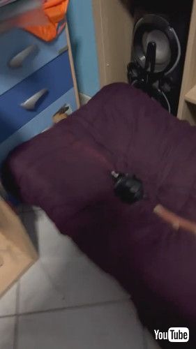 「Guilty Doggo Hides in Shame || ViralHog」