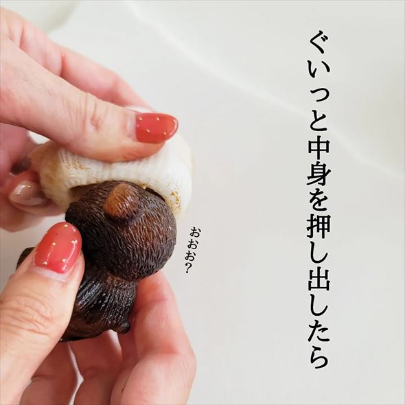 100円ショップ 100均 キャンドゥ クマ