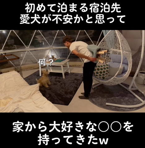 何テロップ