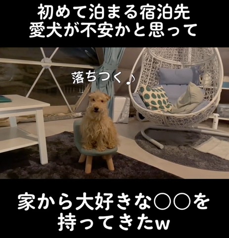 落ち着くテロップ