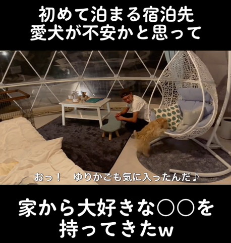 おっゆりかごも気に入ったテロップ