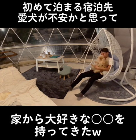 飼い主さんとゆりかごに座るワンコ
