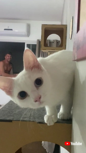 のぞく飼い主さん