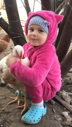 にわとり大好きな女の子