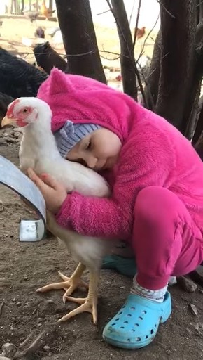 にわとり大好きな女の子