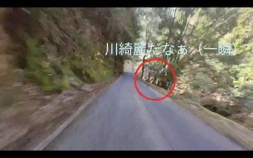 ライダー バイク 視点 視線 可視化 ドラレコ 酷道