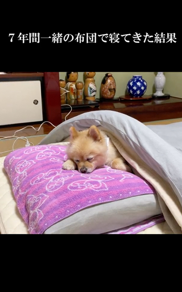 7年間一緒の布団で寝た結果