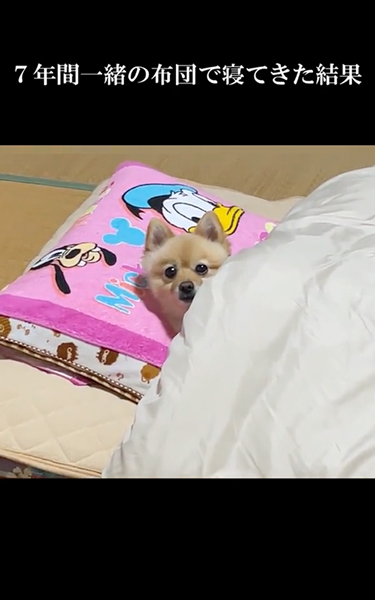 7年間一緒の布団で寝た結果