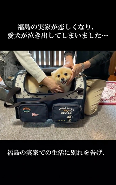 別れが寂しくて泣くワンコ