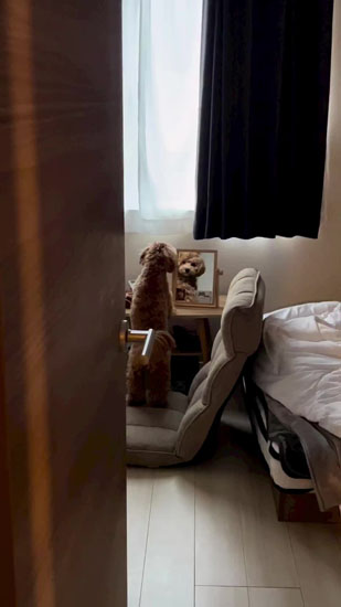 二本足で立つちゅこちゃん