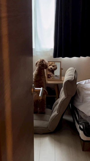 立ち続けるちゅこちゃん