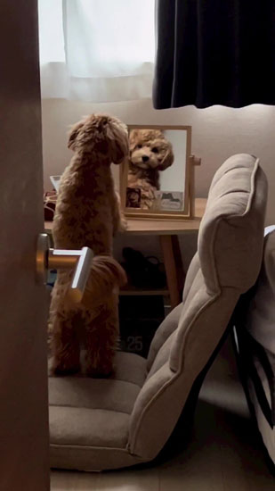 一点を見つめるちゅこちゃん