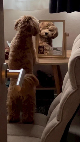 まばたきするちゅこちゃん