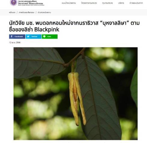 タイで新種の花にBLACKPINKのリサの名前が付けられる