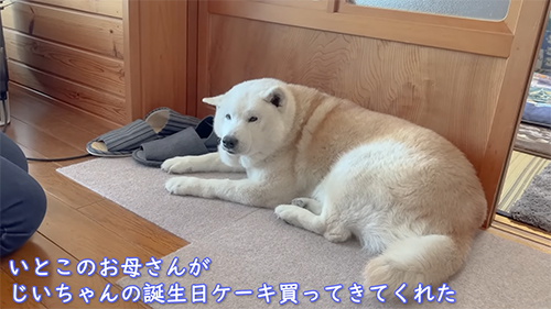 いとこのお母さんが